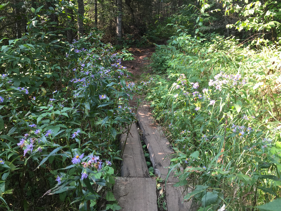 Eagle Mountain Trail Boundary Waters